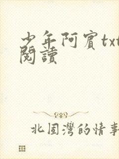 少年阿宾txt阅读