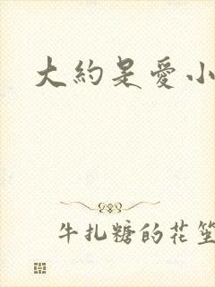 大约是爱小说
