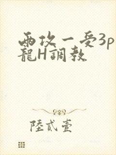 两攻一受3p双龙H调教