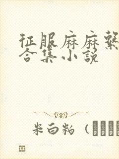 征服麻麻系列大合集小说