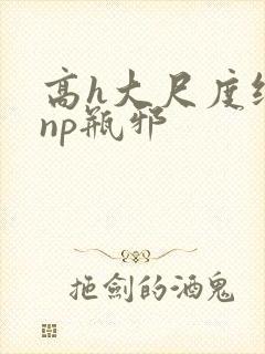 高h大尺度纯肉np瓶邪