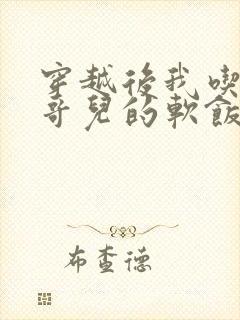 穿越后我吃到了哥儿的软饭炉山灰封面