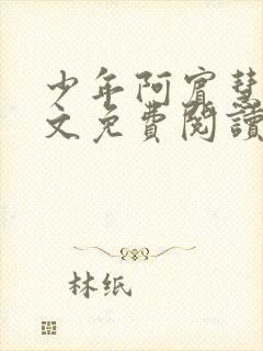 少年阿宾慧钰全文免费阅读