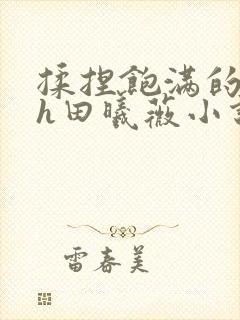 揉捏饱满的双乳h田曦薇小说