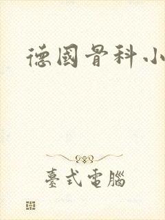 德国骨科小说封面