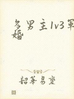 多男主1v3军婚