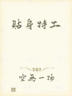 贴身特工封面