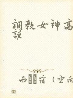 调教女神高h小说
