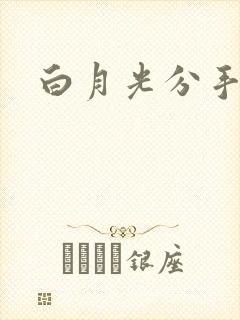 白月光分手日常