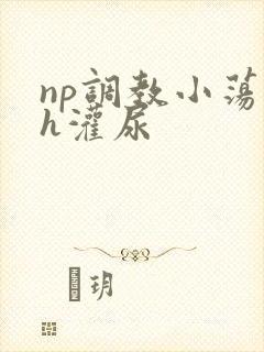 np调教小荡货h灌尿