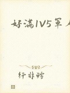 好满1V5军人