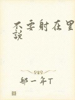 不要射在里面小说