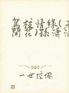 驾校情缘(老树开花)孙潇潇笔趣阁