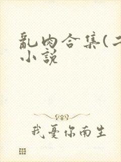 乱肉合集(二)小说