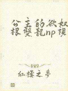 公主的欲奴h四根双龙np视频