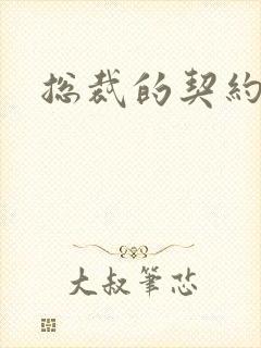 总裁的契约情人