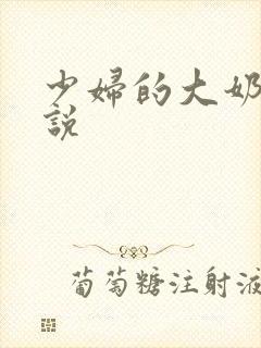 少妇的大奶子小说