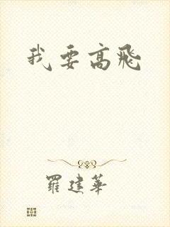 我要高飞封面