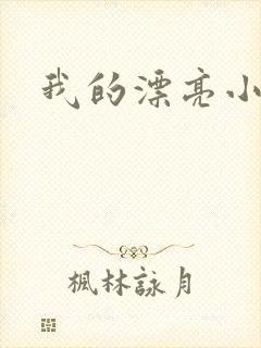 我的漂亮小后妈