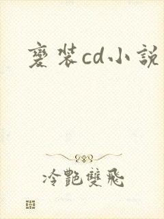 变装cd小说