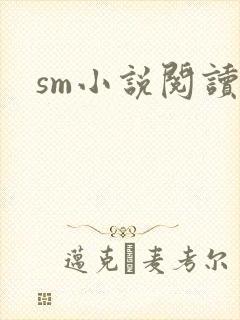 sm小说阅读