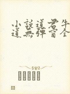 小说道君牛有_道无弹窗全文免费阅读