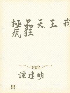 极品天王 我本疯狂