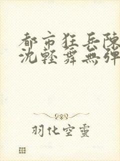 都市狂兵陈六何沈轻舞无弹窗