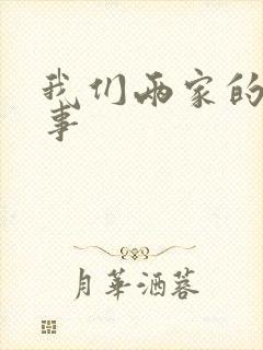我们两家的荒唐事