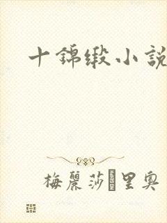 十锦缎小说封面