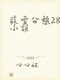 苏雪公憩28篇小说