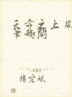 天命之上 风月笔趣阁