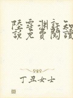 陆霆渊许知夏小说免费阅读最新章节