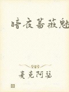 暗夜蔷薇魅封面