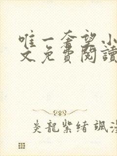 唯一奢望小说全文免费阅读