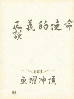 正义的使命 小说