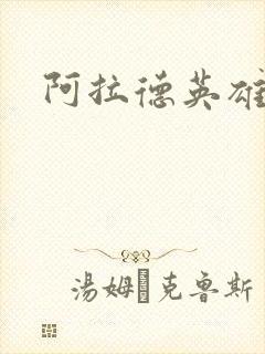 阿拉德英雄传封面