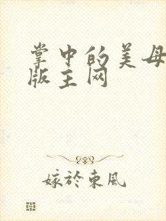 掌中的美母第一版主网封面