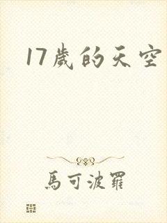 17岁的天空封面