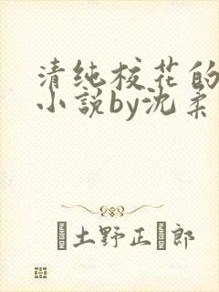 清纯校花的日常小说by沈柔封面