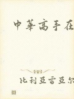 中华高手在异世封面
