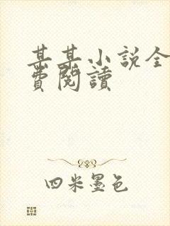 某某小说全文免费阅读