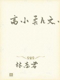 高小柔h文小说封面