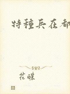 特种兵在都市