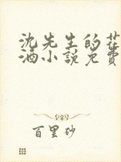 沈先生的花式调酒小说免费阅读封面