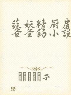 苏妖精厨房爹爹爸爸的小说