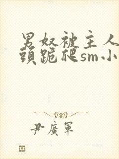 男奴被主人拽奶头跪爬sm小说封面