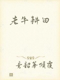 老牛耕田