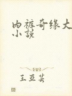 内裤奇缘大团结小说