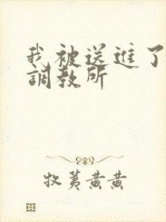 我被送进了私奴调教所